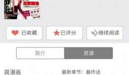 黑猫男友漫画贴吧,一场跨越次元的浪漫邂逅